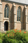 6468.jpg Dreischor