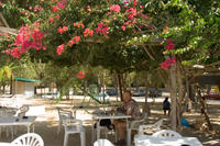Cyprus, Kourion, bij restaurant