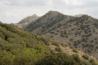 Cyprus, Madari ridge trail, 1e etappe. Brandpost in de verte