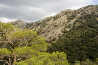 Cyprus, Madari ridge trail, 2de etappe. Met brandpost en picknickbankje in de verte.