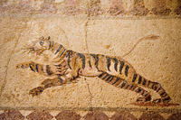 Cyprus, Mozaiken in Pafos