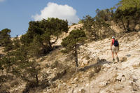 Cyprus, Aphrodite-trail