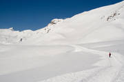 5954.jpg Erica in een verlaten sneeuwlandschap