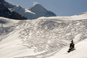 6010.jpg Schaduwwerking van de skisporen.