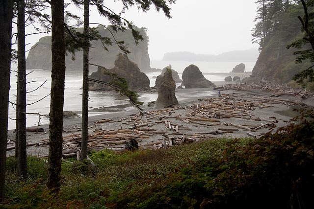 Olympic National Park - Ruby Beach, bij Kalaloch