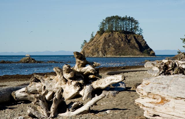 Olympic National Park - Cape Alava