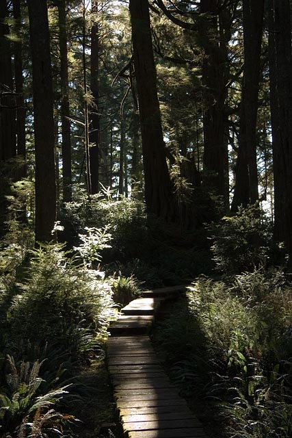 Olympic National Park - Cape Alava