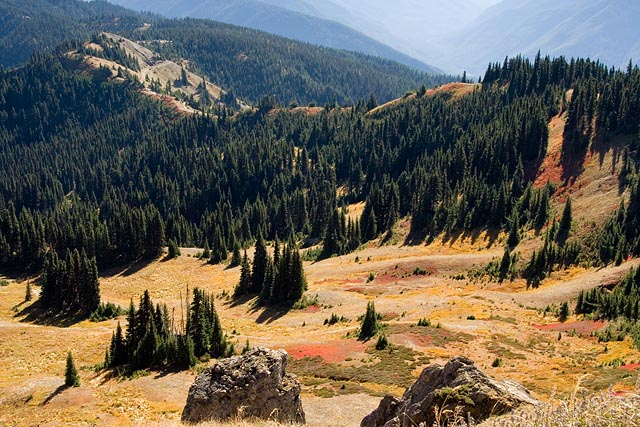 Olympic National Park - Hurricane Ridge